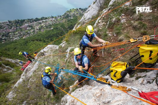 Petzl MAESTRO®