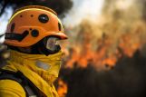 Masque de protection respiratoire Vallfirest pour feux de forêt